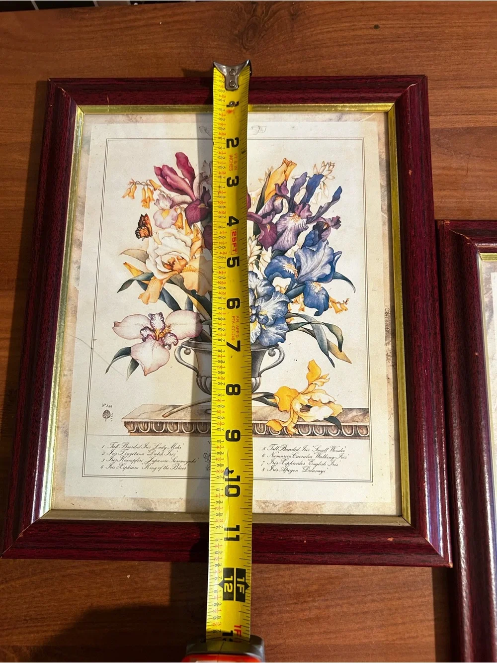 Floral Still Life Wall Art Prints in Burgundy Frame - Set of 2